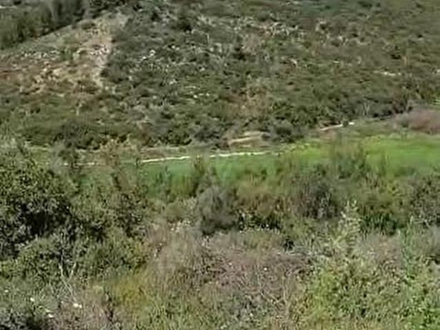 Milas, Muğla içerisinde satılık mülk