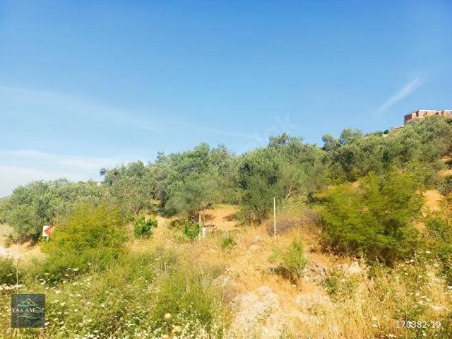 Pınarköy, Bergama içerisinde satılık mülk