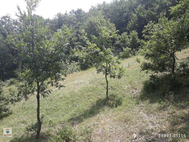 Geyve, Sakarya içerisinde satılık Arsa