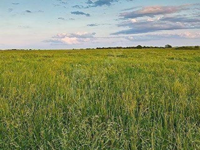 Tepebaşi, Eskişehir içerisinde satılık Arsa