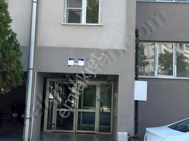 Turgutalp, Soma içerisinde satılık mülk