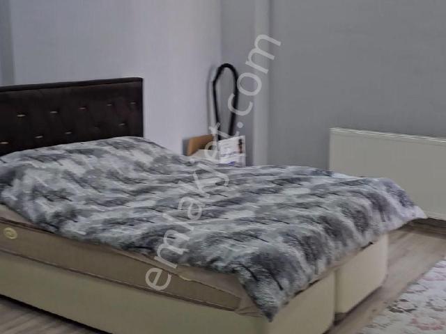 Kars Merkez, Kars içerisinde kiralık mülk