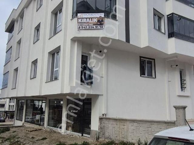 Atakum, Samsun içerisinde kiralık mülk