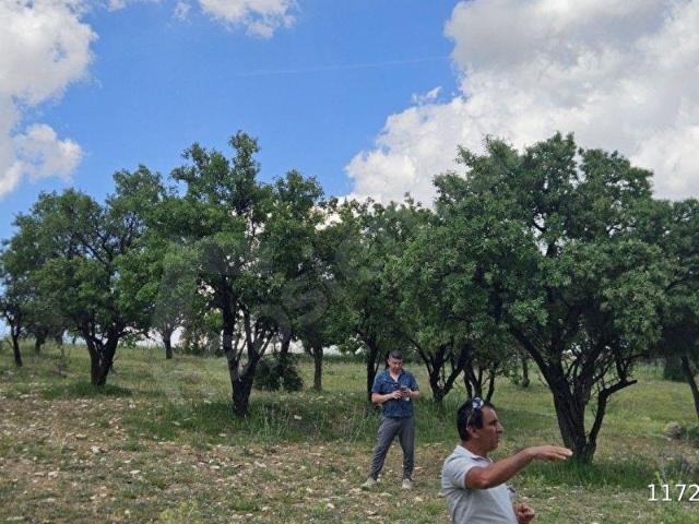 Elmali, Antalya içerisinde satılık Arsa