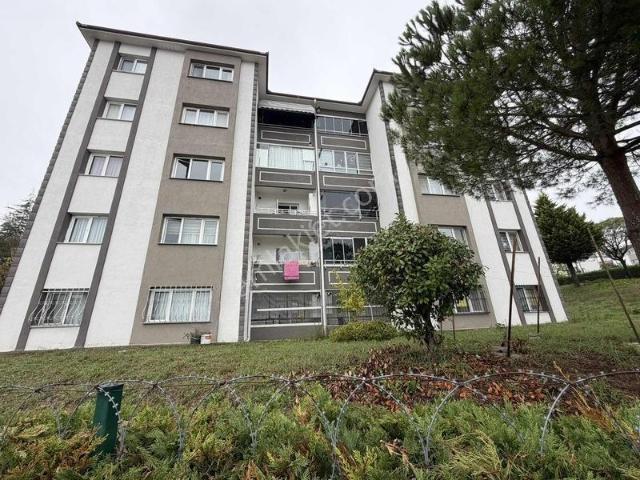 Sakarya, Adapazarı içerisinde satılık mülk