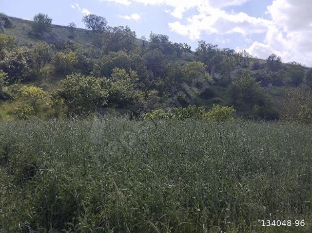 Akyurt, Ankara içerisinde satılık Arsa