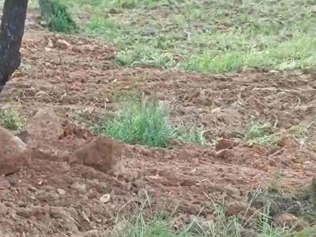Şahinbey, Gaziantep içerisinde satılık mülk