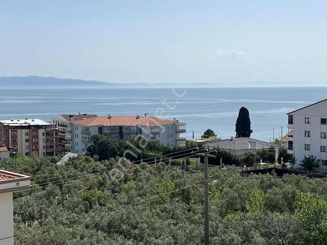 Armutlu, Yalova içerisinde satılık mülk