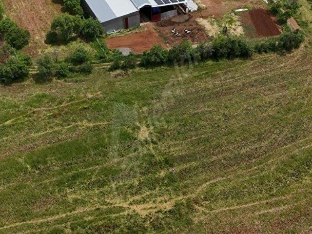 Akalan, Acıpayam içerisinde satılık Arsa