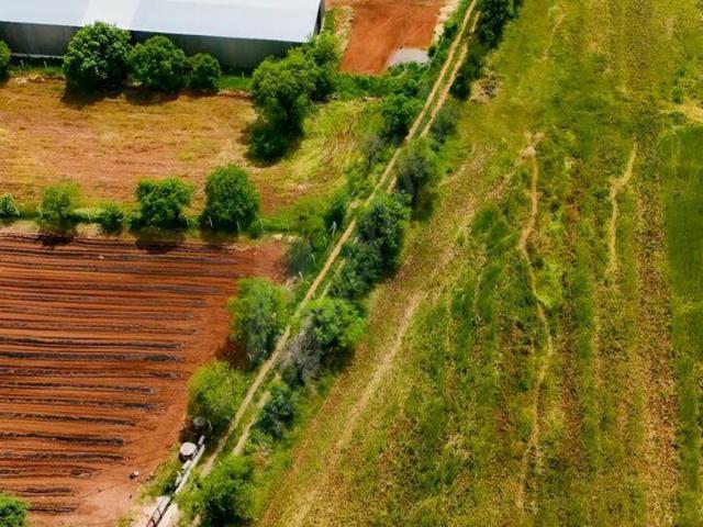 Akalan, Acıpayam içerisinde satılık Arsa