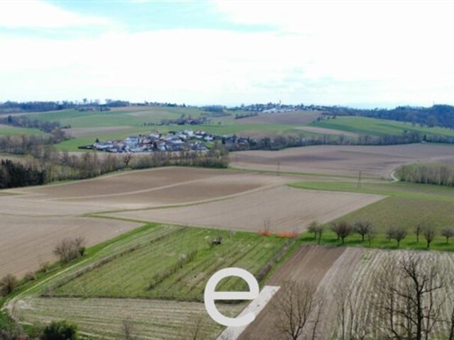 Landwirtschaft kaufen in Alkoven, Oberösterreich