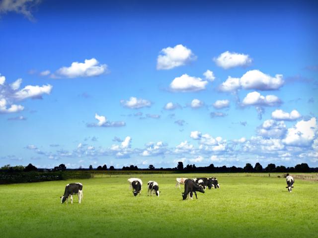 Landwirtschaft kaufen in Westerstede, Niedersachsen