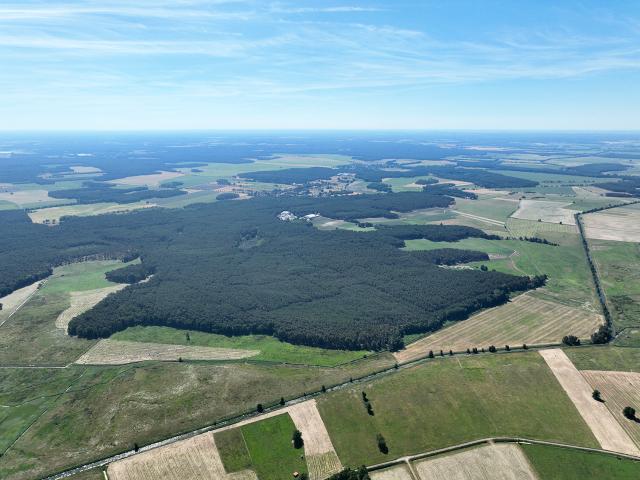 Landwirtschaft kaufen in Beelitz, Brandenburg