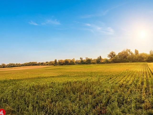 Landwirtschaft kaufen in Himberg, Bezirk Bruck an der Leitha