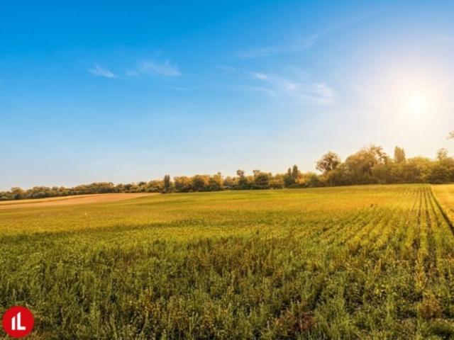 Landwirtschaft kaufen in Himberg, Bezirk Bruck an der Leitha