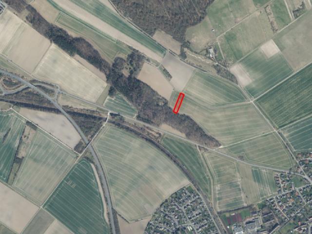 Landwirtschaft kaufen in Langelsheim, Niedersachsen