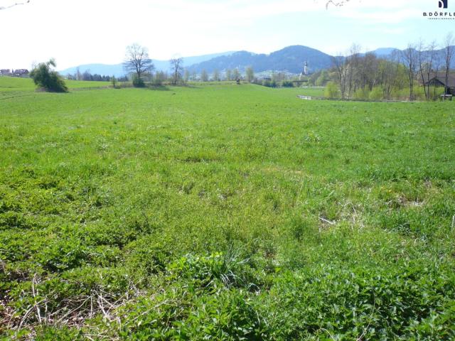 Landwirtschaft kaufen in Feldkirchen in Kärnten, Bezirk Feldkirchen