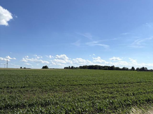 Landwirtschaft kaufen in Aichach, Bayern
