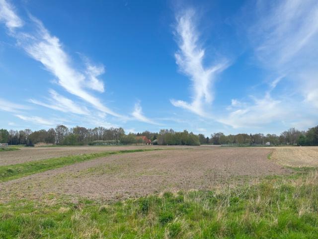 Landwirtschaft kaufen in Twist (Emsland), Niedersachsen