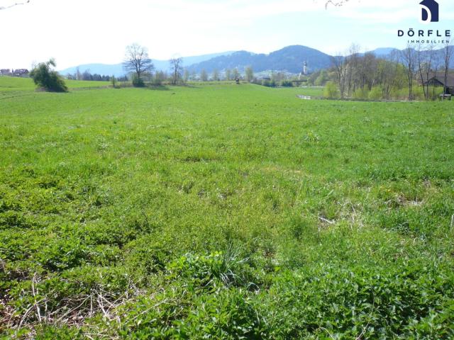Landwirtschaft kaufen in Feldkirchen in Kärnten, Kärnten