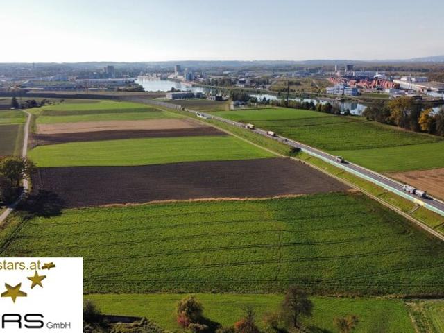 Landwirtschaft mieten in Sankt Pantaleon-Erla, Bezirk Amstetten