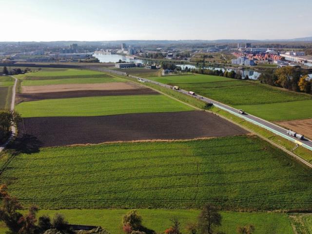 Landwirtschaft mieten in Sankt Pantaleon-Erla, Bezirk Amstetten