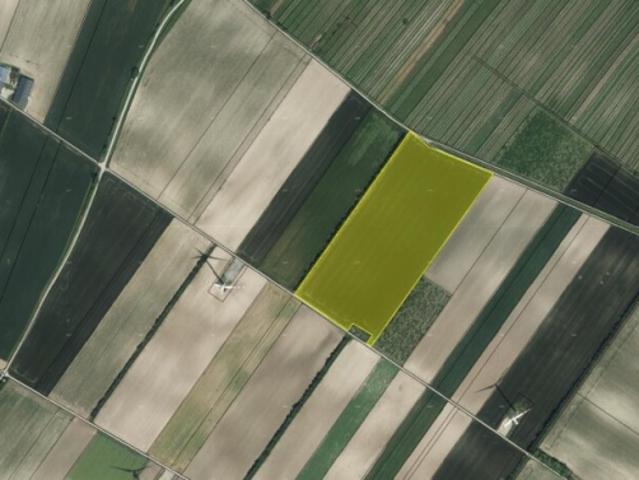 Landwirtschaft kaufen in Höflein, Bezirk Bruck an der Leitha