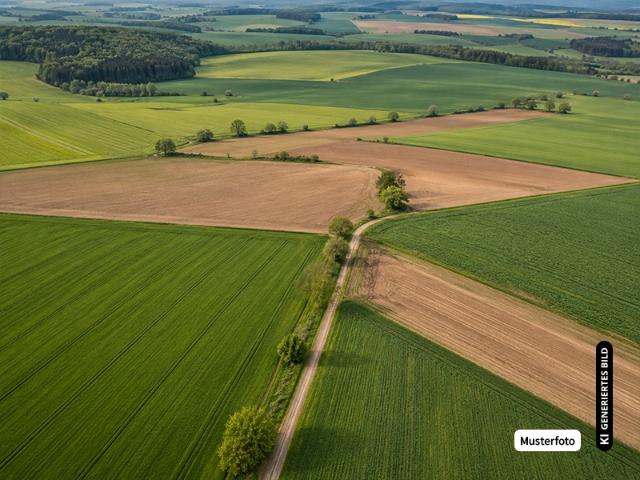 Landwirtschaft kaufen in Gut Wollendorf, Neuwied