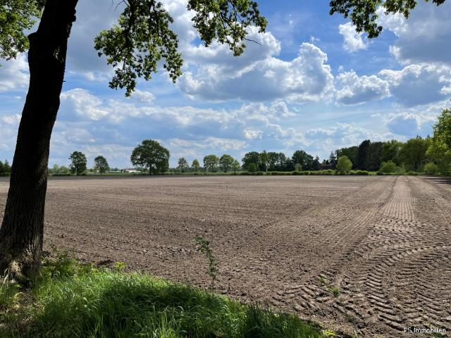 Landwirtschaft kaufen in Edewecht, Niedersachsen