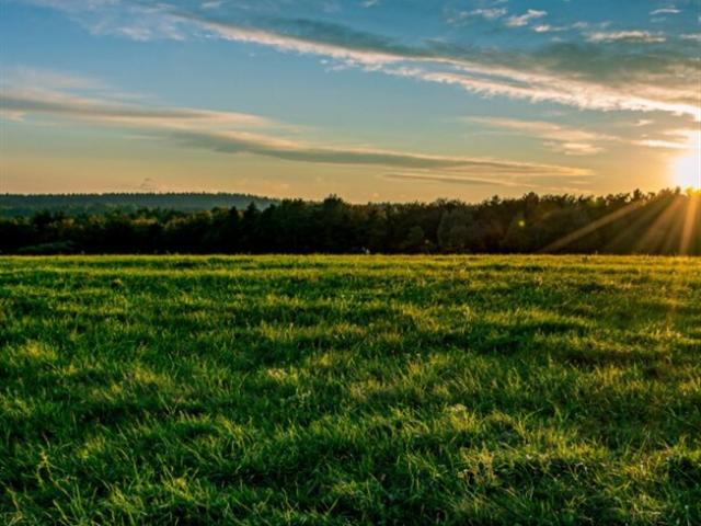 Landwirtschaft kaufen in Neunkirchen, Niederösterreich