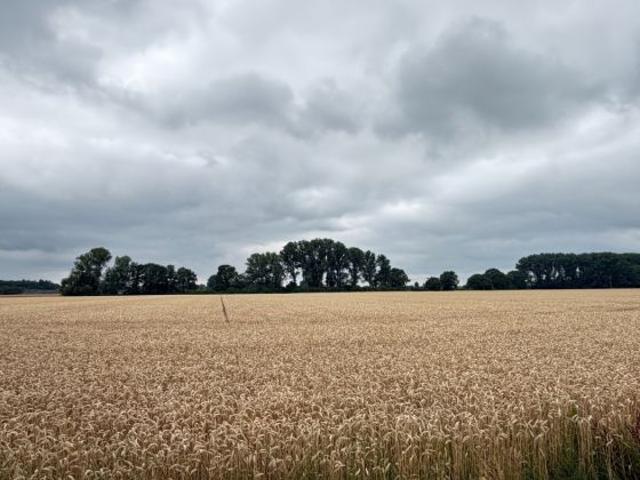 Gewerbe kaufen in Kevelaer, Nordrhein-Westfalen
