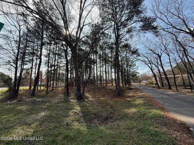 Land for sale in Winston, Mississippi