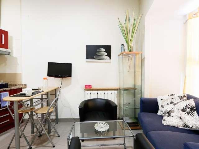 Apartamento en alquiler en Centro, Madrid
