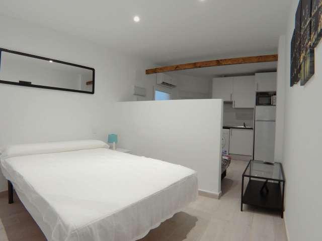 Estudio en alquiler en Madrid, Berruguete