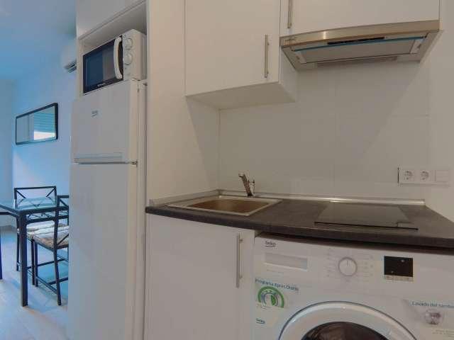 Estudio en alquiler en Madrid, Berruguete