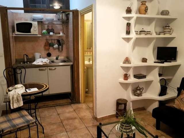 Apartamento en alquiler en San Matías - Realejo, Granada