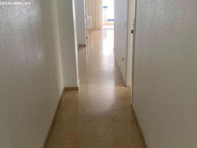 Piso en alquiler en Urbanització Pinar de Guardamar, el Baix Segura / La Vega Baja