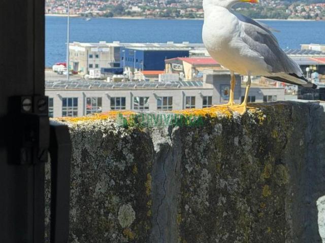 Oficina en venta en Vigo