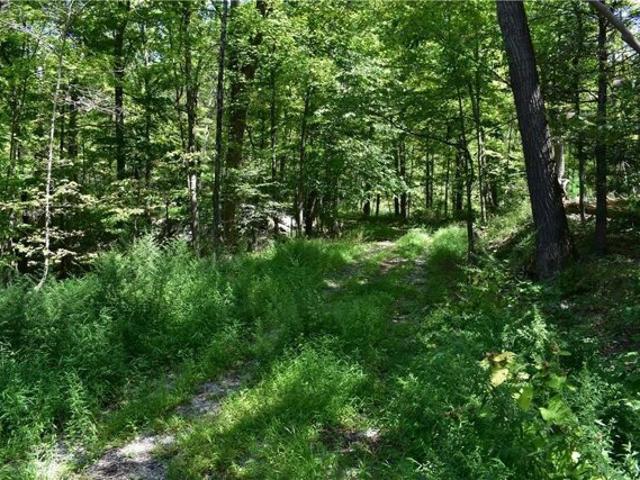 Land for sale in Tuxedo Park
