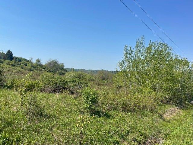 Land for sale in Mc Donough, New York