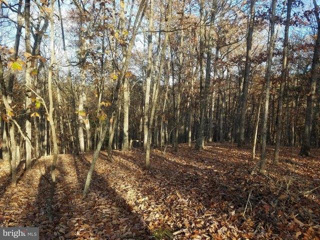Land for sale in Romney, West Virginia