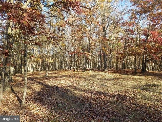 Land for sale in Romney, West Virginia