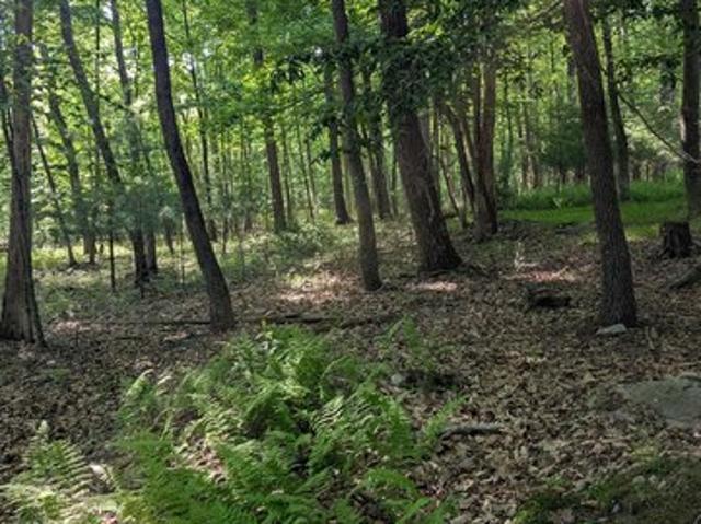 Land for sale in Milford, Pennsylvania