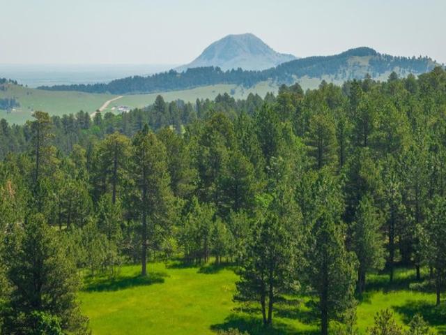 Land for sale in Whitewood, South Dakota