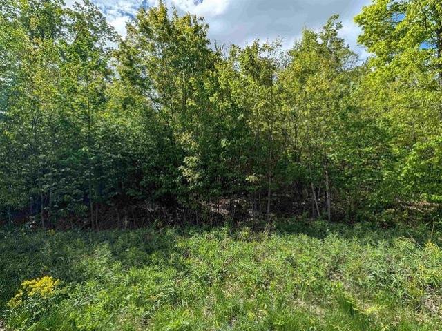 Land for sale in Marathon, Wisconsin
