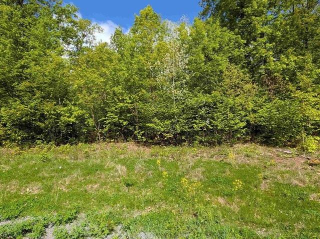 Land for sale in Marathon, Wisconsin