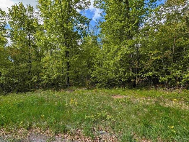 Land for sale in Marathon, Wisconsin