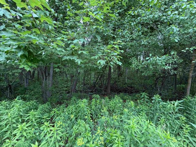 Property for sale in Oconto, Wisconsin