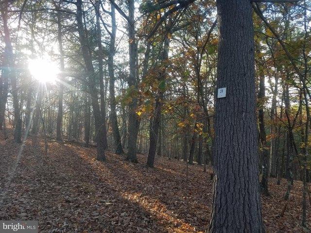 Land for sale in Romney, West Virginia