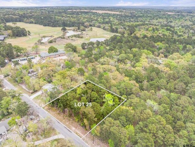 Land for sale in Frankston, Texas